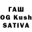 Гашиш Cannabis shy warrior