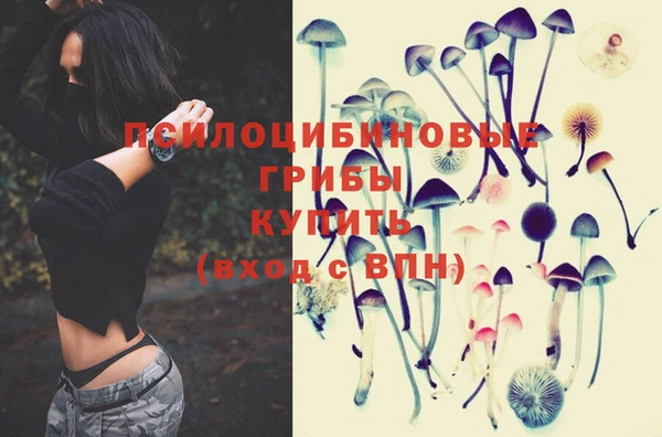 соль курить ск Михайлов